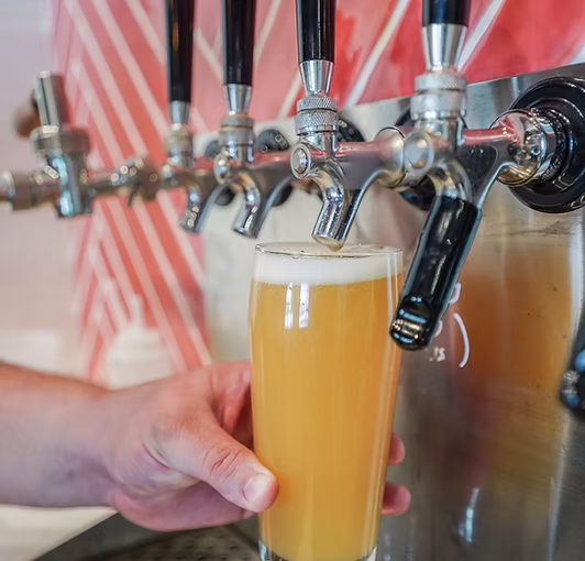 Flamingo Bay Brewing Co.